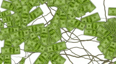 Money grows 4 Video stock 539248