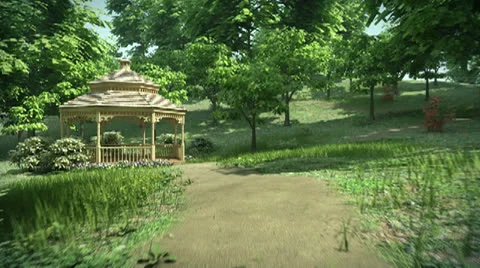 Money Grows on Trees Stock Footage 25039498