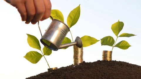 Money growth concept Stock Footage 76870485