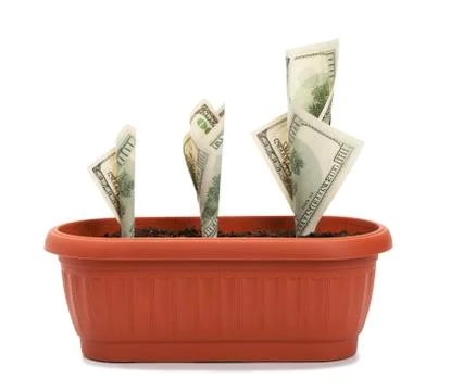 Money growth process Stock Photos