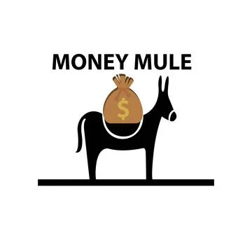 Money mule Stock Illustration