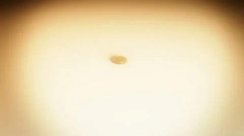 Money multiplying Stock Footage 24978415