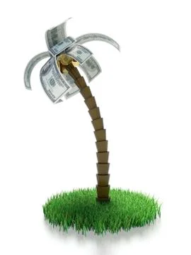 Money palm Stock Illustration