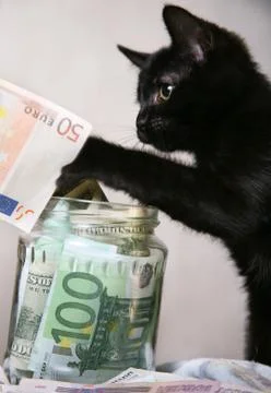 Money Stock Photos
