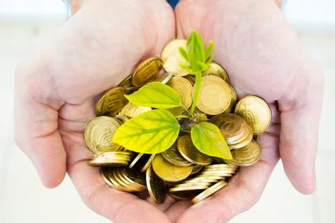 Money Stock Photos