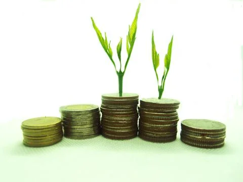 Money Stock Photos