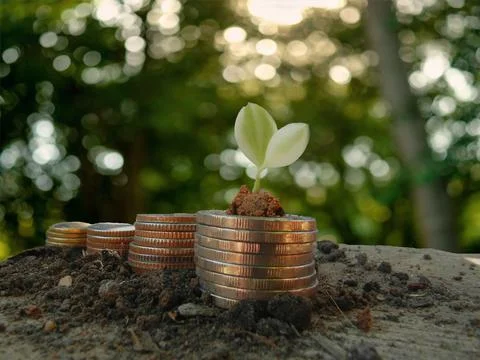 Money Stock Photos