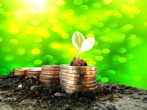 Money Stock Photos