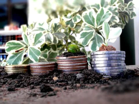 Money Stock Photos
