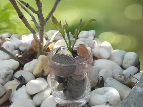 Money Stock Photos