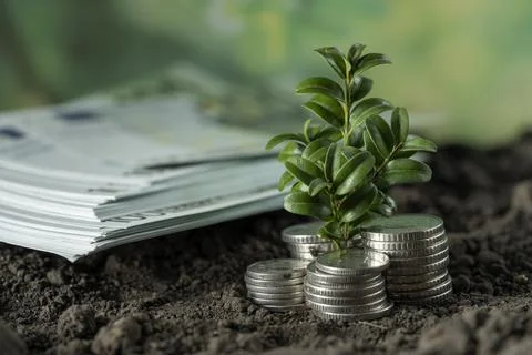 Money Stock Photos