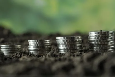 Money Stock Photos