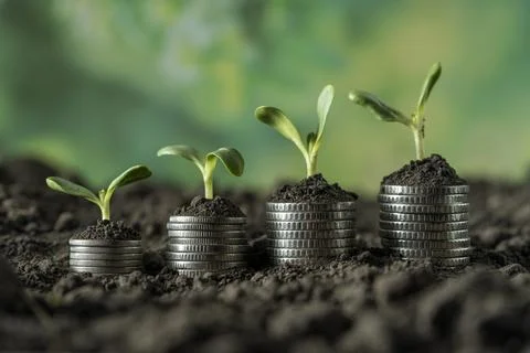 Money Stock Photos