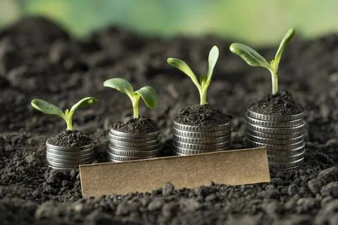 Money Stock Photos