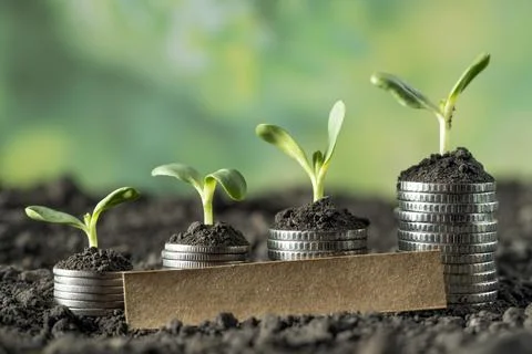 Money Stock Photos