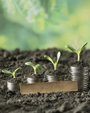 Money Stock Photos