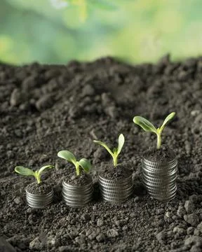 Money Stock Photos