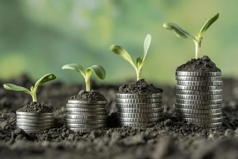 Money Stock Photos