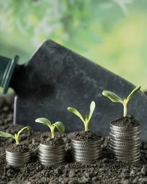 Money Stock Photos