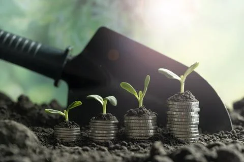 Money Stock Photos