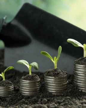 Money Stock Photos
