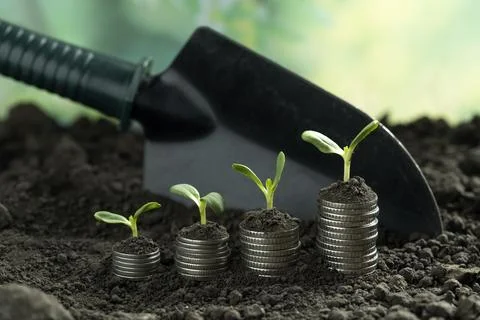 Money Stock Photos