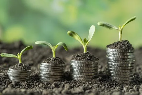Money Stock Photos