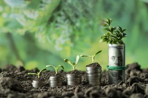 Money Stock Photos