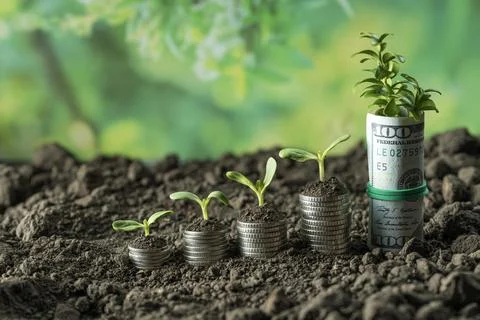 Money Stock Photos