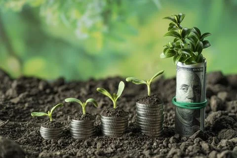 Money Stock Photos