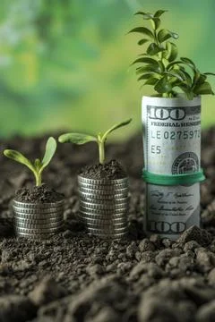 Money Stock Photos