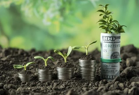 Money Stock Photos