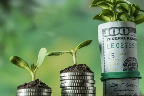 Money Stock Photos