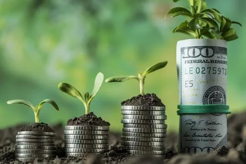 Money Stock Photos