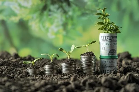 Money Stock Photos