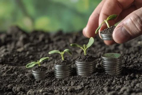 Money Stock Photos