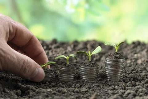 Money Stock Photos