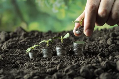 Money Stock Photos