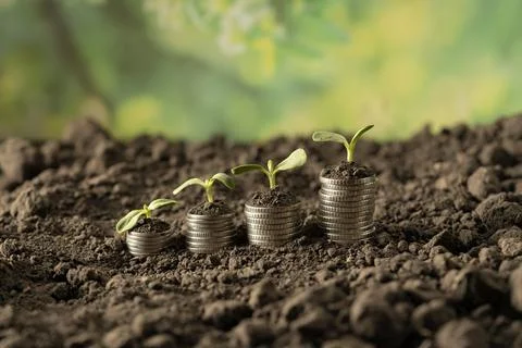 Money Stock Photos