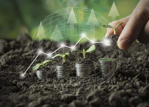 Money Stock Photos