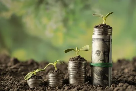 Money Stock Photos