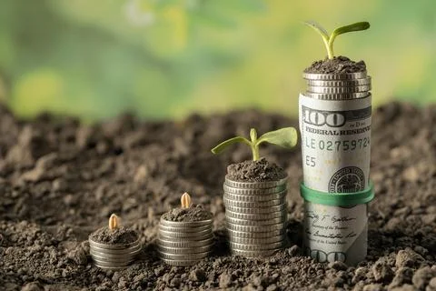 Money Stock Photos