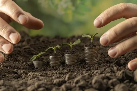 Money Stock Photos