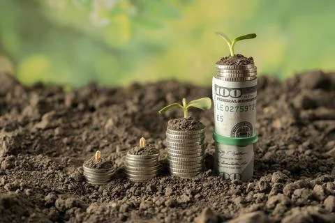 Money Stock Photos