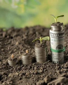 Money Stock Photos