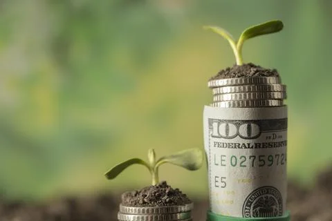 Money Stock Photos