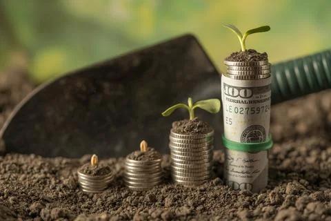 Money Stock Photos