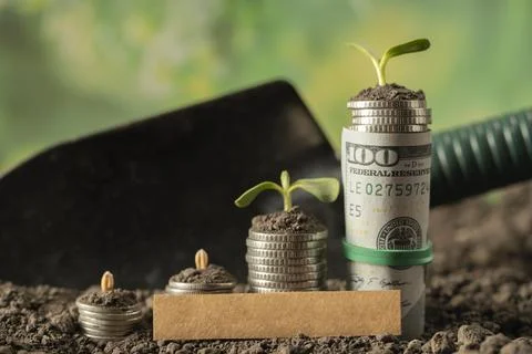 Money Stock Photos