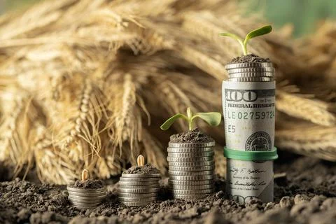 Money Stock Photos
