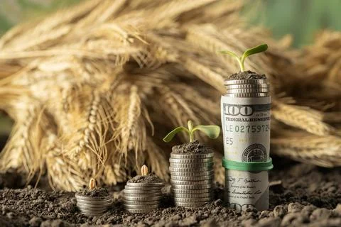 Money Stock Photos
